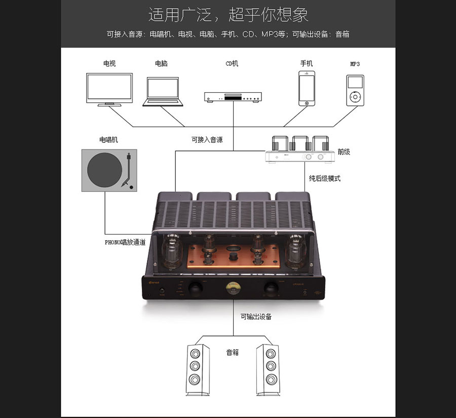 黑眼睛廣告為膽藝高音響器材有限公司官網設計的產品詳情頁